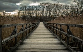 Картинка мост, деревянный, природа