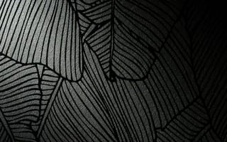 Картинка узор, полосы, текстура