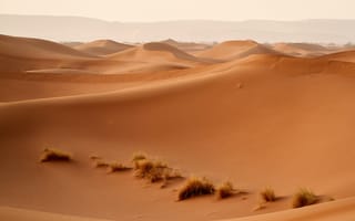 Обои пустыня, дюны, холмы
