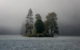 Картинка остров, деревья, туман