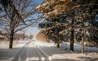 Картинка дорога, снег, след