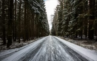 Обои дорога, лес, снег