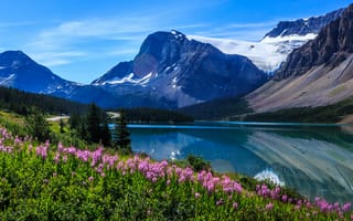 Картинка горы, озеро, цветы