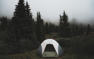 Обои палатка, поход, деревья