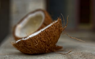 Картинка кокос, орех, тропический