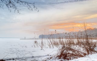 Картинка озеро, камыши, снег