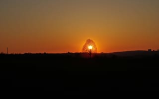 Картинка горизонт, дерево, солнце