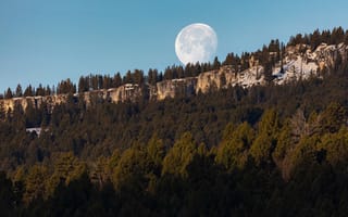Обои скала, лес, луна