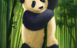 Картинка панда, взгляд, милый