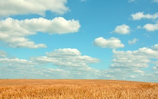 Картинка поле, небо, облака