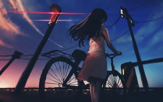 Картинка девушка, велосипед, сумерки