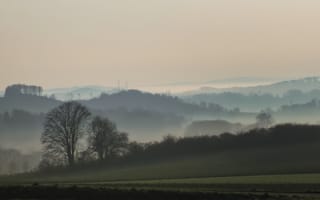 Картинка деревья, поле, туман