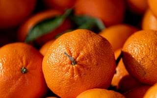 Картинка апельсины, фрукты, цитрус