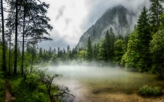 Обои озеро, лес, туман