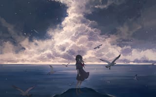 Картинка девушка, птицы, облака