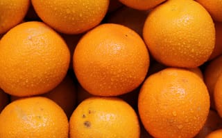 Обои апельсины, фрукты, цитрус