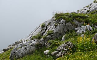 Картинка гора, камни, трава