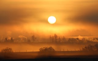 Картинка солнце, закат, туман