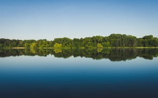 Картинка деревья, отражение, озеро