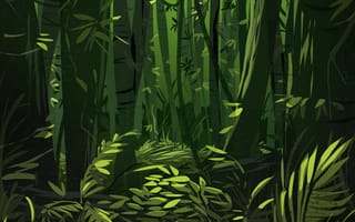 Картинка джунгли, деревья, листья