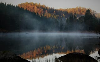 Картинка озеро, лес, туман