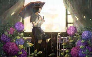 Картинка девушка, зонтик, дождь
