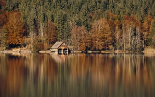 Картинка домик, лес, озеро