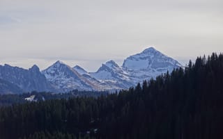 Картинка горы, снег, лес