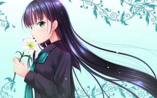 Картинка девушка, лилия, цветок