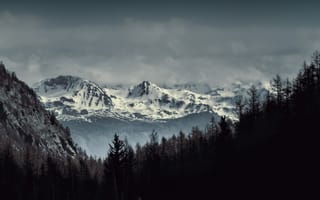 Картинка горы, снег, деревья