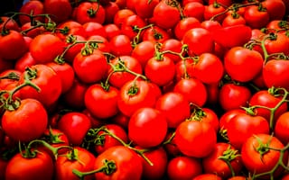 Картинка томаты, овощи, ветки