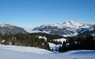 Картинка горы, деревья, снег