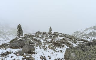 Картинка дерево, холмы, снег