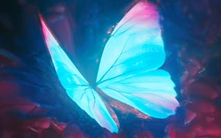 Картинка бабочка, крылья, свечение