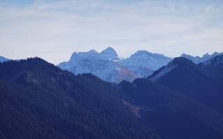 Картинка горы, снег, лес