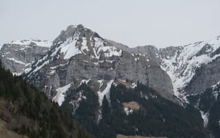 Картинка горы, снег, деревья