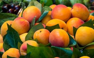 Картинка персики, фрукты, листья