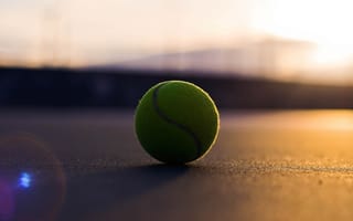 Обои теннисный мяч, асфальт, тень
