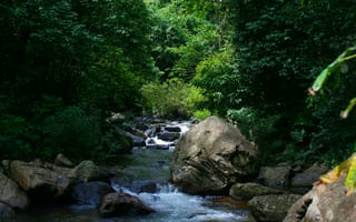 Обои река, деревья, камни