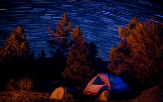 Картинка палатка, деревья, звездное небо