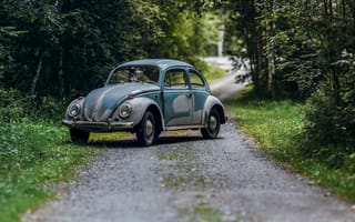 Картинка volkswagen beetle, volkswagen, автомобиль