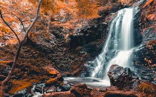 Картинка водопад, камни, дерево
