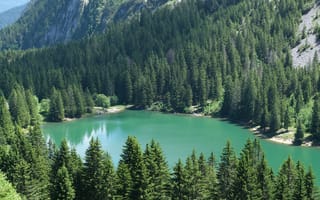 Картинка озеро, деревья, гора