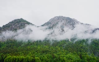 Картинка гора, лес, облака