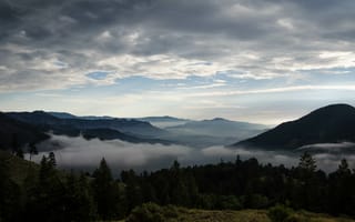 Картинка горы, туман, деревья
