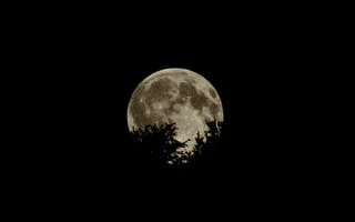 Картинка луна, полнолуние
