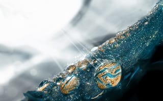 Картинка капли, свет, блеск