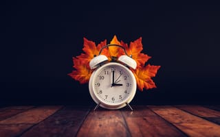 Картинка часы, будильник, листья