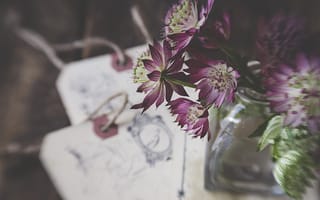 Картинка цветы, букет, лепестки