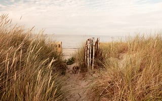 Картинка берег, песок, трава